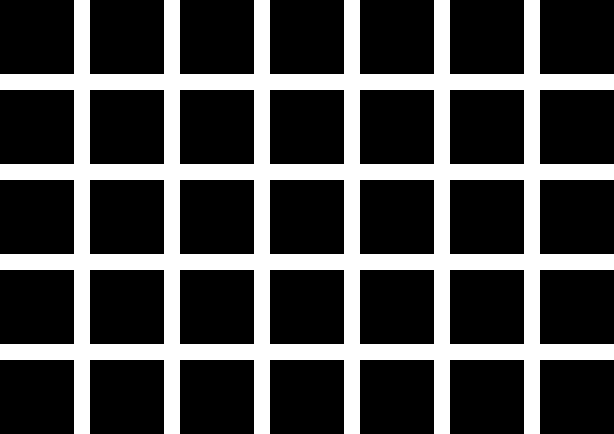 Hermann Grid