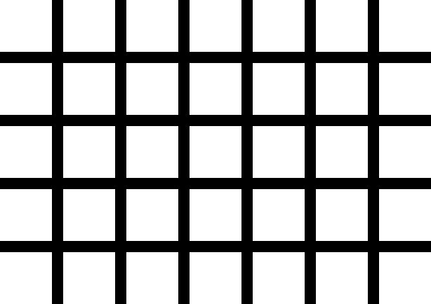 Hermann Grid